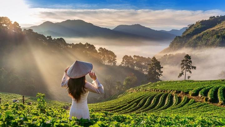 Xu hướng Loại cá được khen