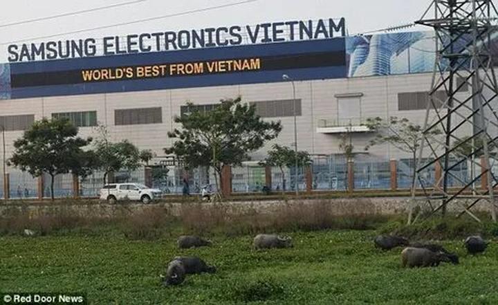 Hotspot Matrix: Biến Nữ bác sĩ sản công khai “nghề thành cơ hội marketing đột phá_Khóa học digital marketing trực tuyến